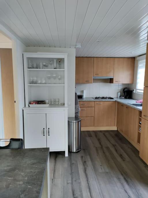 Chalet Midden In De Natuur! Anloo Eksteriør billede
