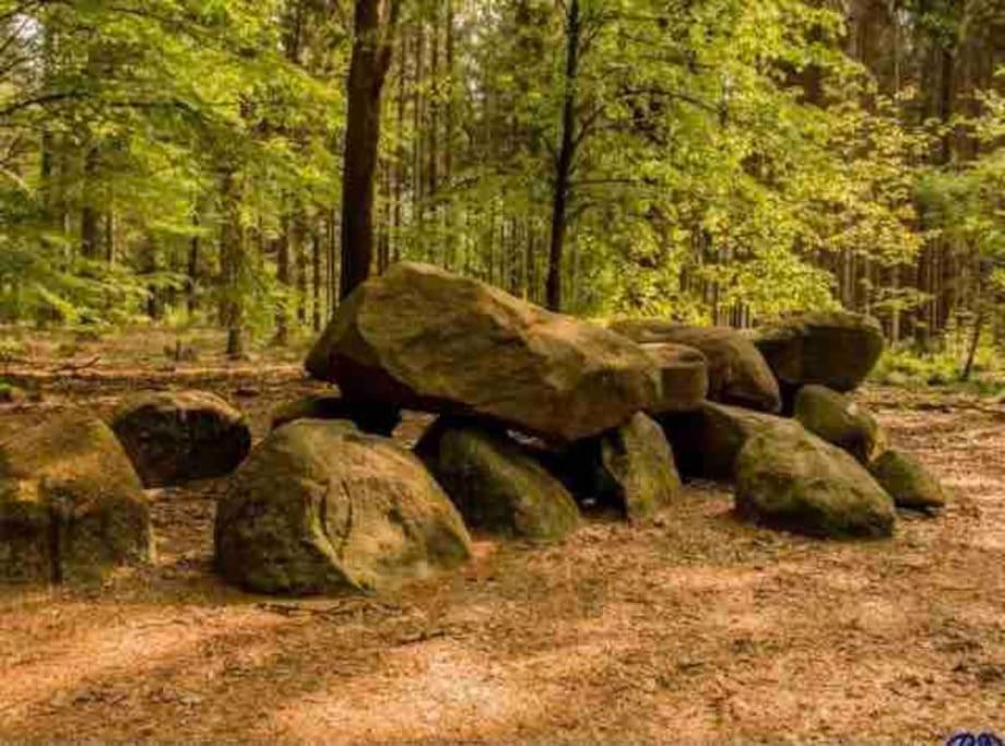 Chalet Midden In De Natuur! Anloo Eksteriør billede